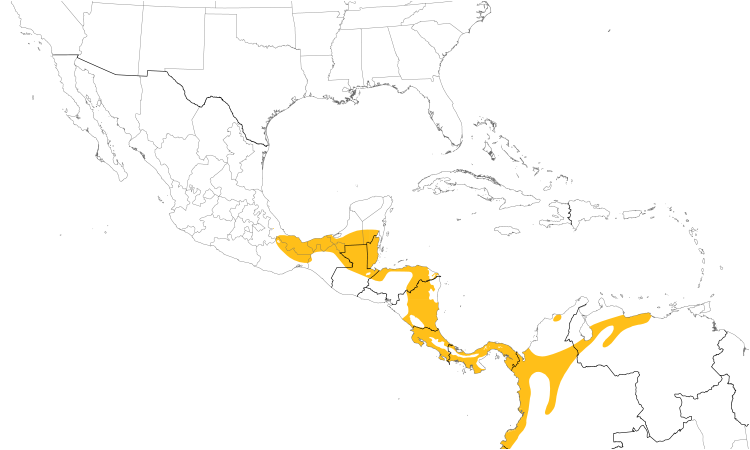 Range Map (Central): Stripe-throated Hermit