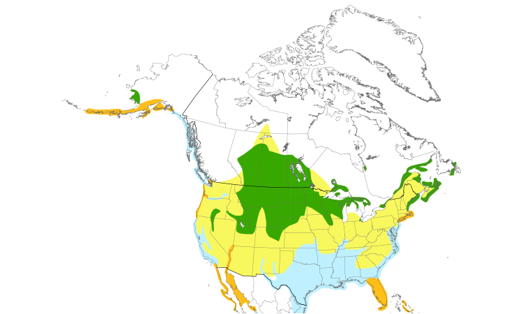 Range Map (North): Double-crested Cormorant