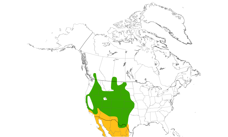 Range Map (North): Quiz Species