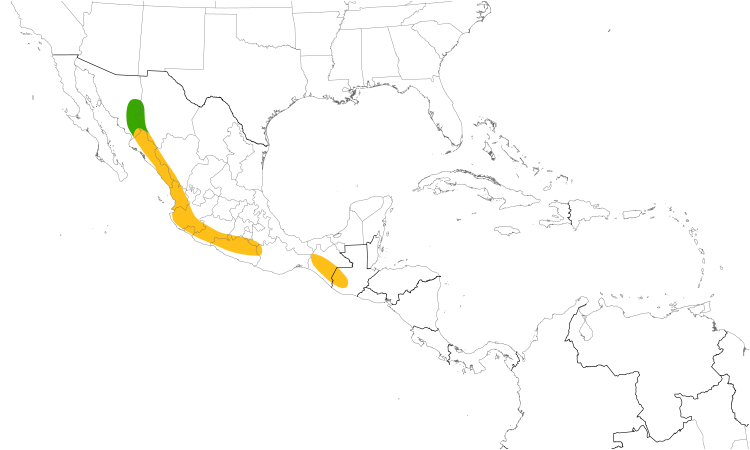 Range Map (Central): Yellow Grosbeak