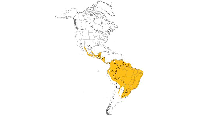 Range Map (Americas): Squirrel Cuckoo