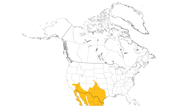 Range Map (North): Ladder-backed Woodpecker