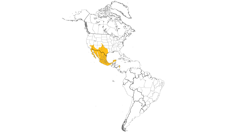 Range Map (Americas): Ladder-backed Woodpecker