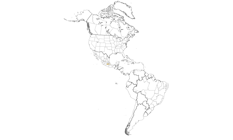 Range Map (Americas): Strickland's Woodpecker