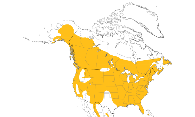 Range Map (North): Hairy Woodpecker