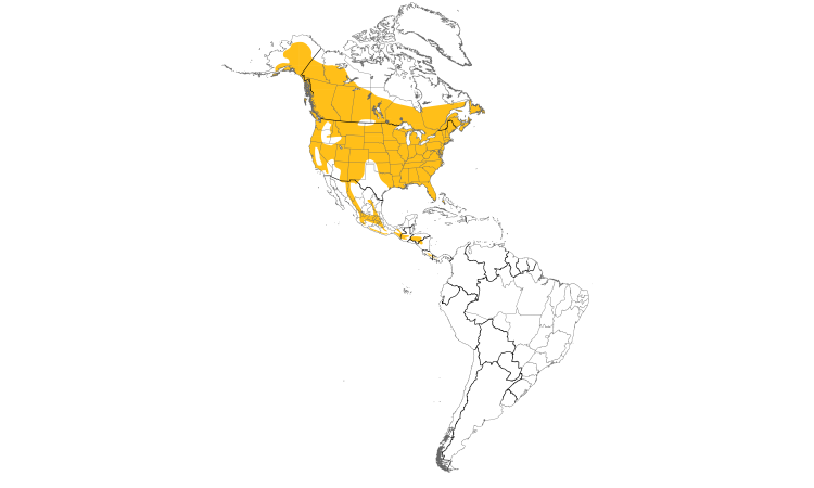 Range Map (Americas): Hairy Woodpecker
