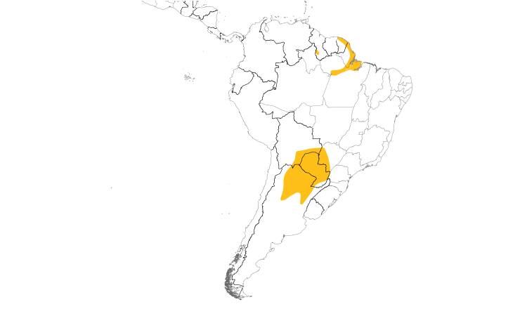 Range Map (South): White-barred Piculet