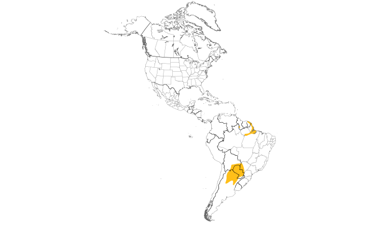 Range Map (Americas): White-barred Piculet