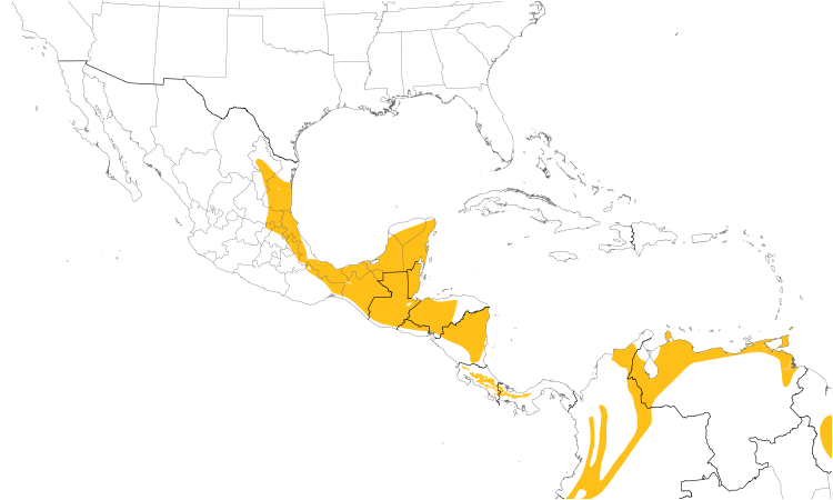 Range Map (Central): Golden-olive Woodpecker