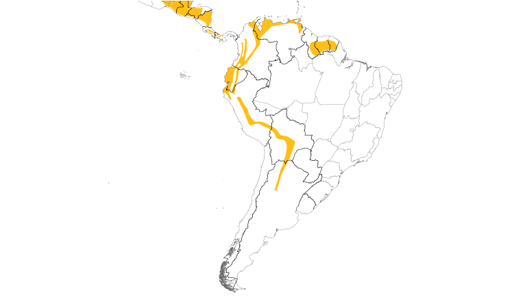 Range Map (South): Golden-olive Woodpecker