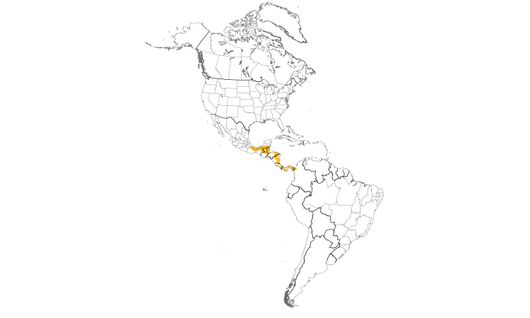 Range Map (Americas): Brown-hooded Parrot