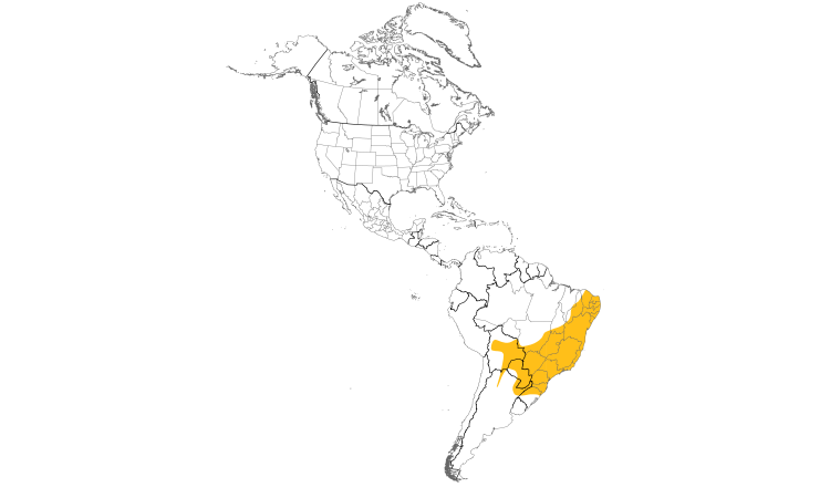 Range Map (Americas): Scaly-headed Parrot