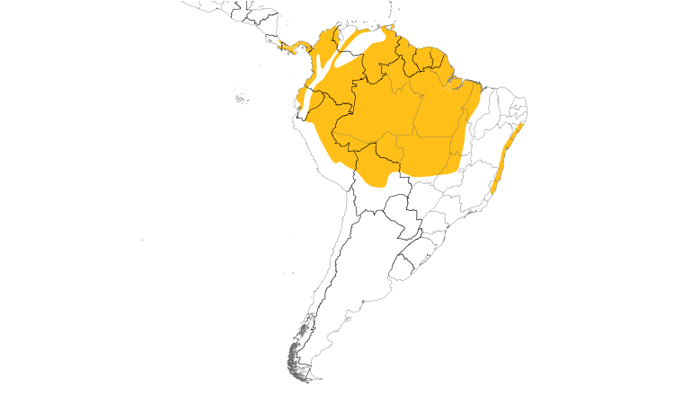 Range Map (South): Blue-headed Parrot