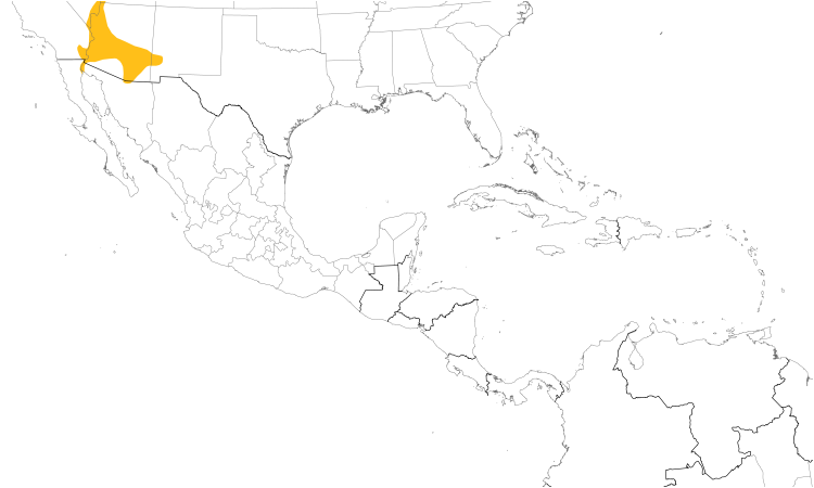 Range Map (Central): Abert's Towhee