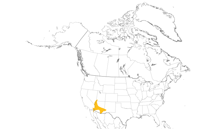 Range Map (North): Abert's Towhee