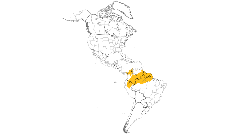 Range Map (Americas): Golden-headed Manakin