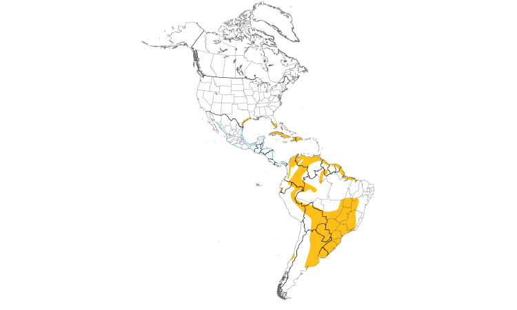 Range Map (Americas): Roseate Spoonbill