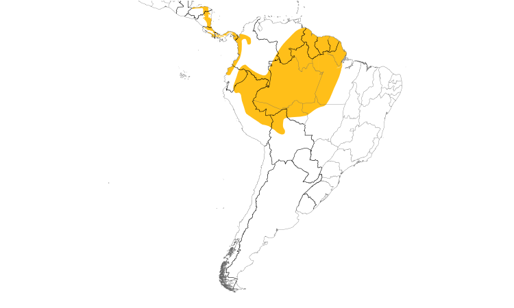 Range Map (South): Golden-crowned Spadebill