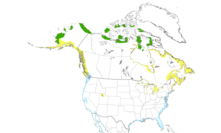 Range Map (North): Black-bellied Plover