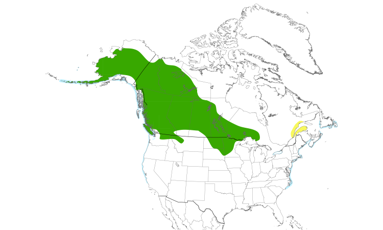 Range Map (North): Red-necked Grebe