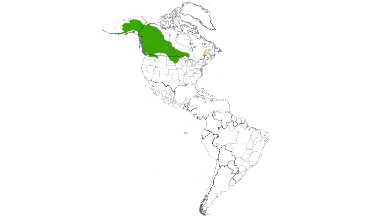 Range Map (Americas): Red-necked Grebe