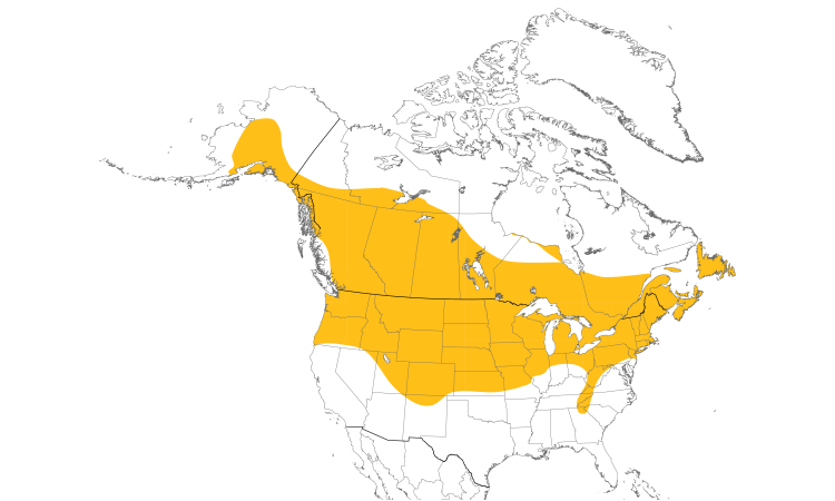 Range Map (North): Black-capped Chickadee