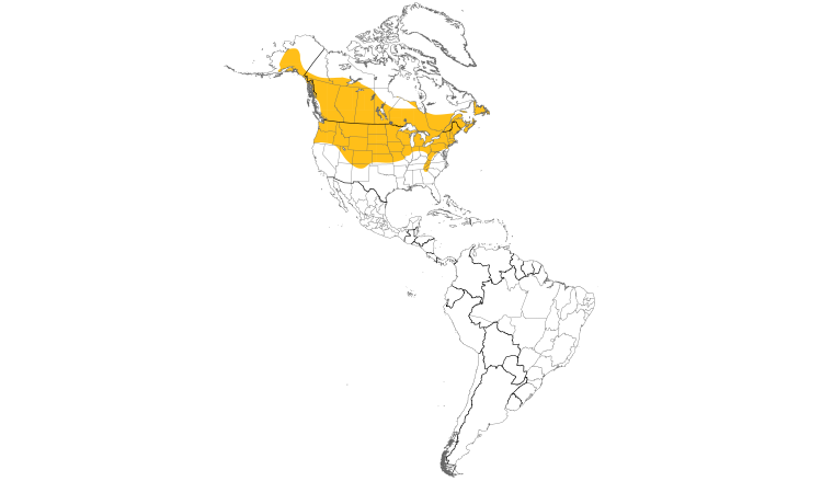Range Map (Americas): Black-capped Chickadee