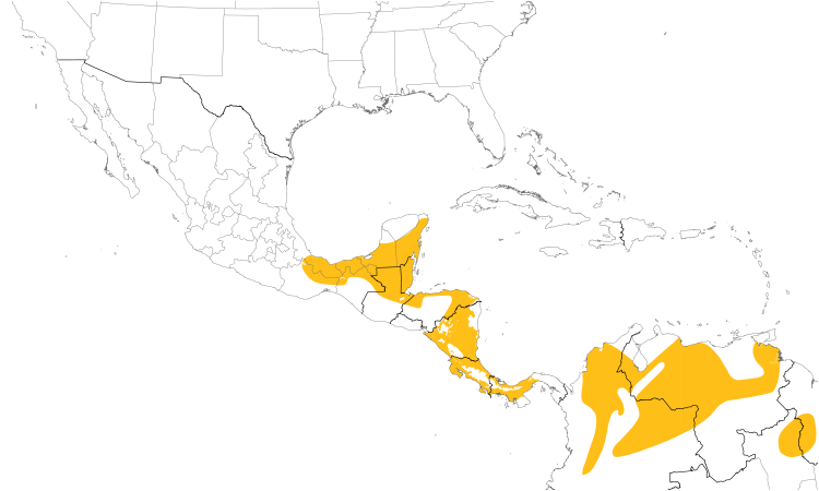 Range Map (Central): Slate-headed Tody-Flycatcher