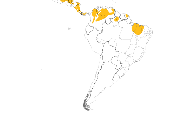 Range Map (South): Slate-headed Tody-Flycatcher