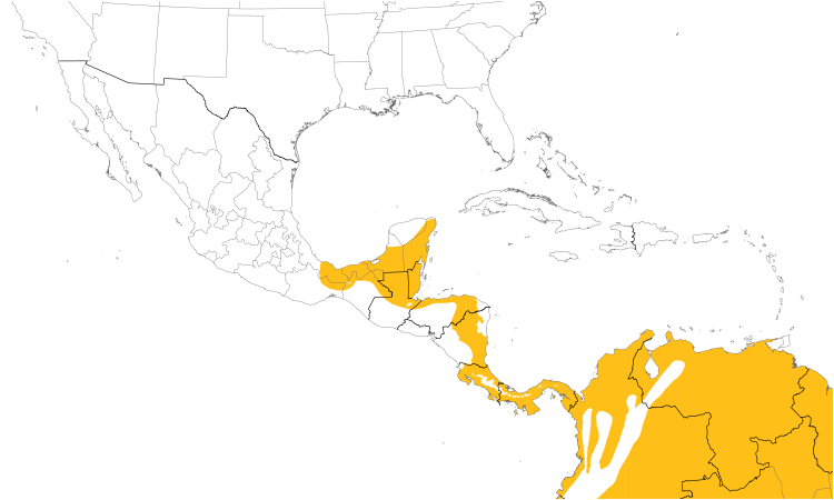 Range Map (Central): Tropical Gnatcatcher