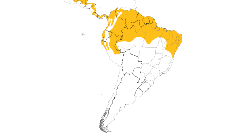 Range Map (South): Tropical Gnatcatcher