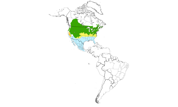 Range Map (Americas): Vesper Sparrow