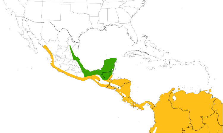 Range Map (Central): Gray-breasted Martin