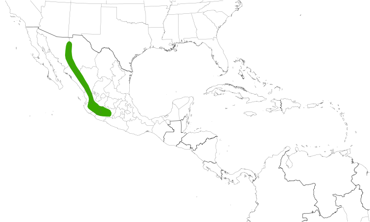Range Map (Central): Sinaloa Martin