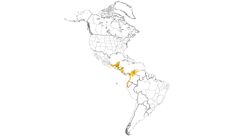 Range Map (Americas): Collared Aracari