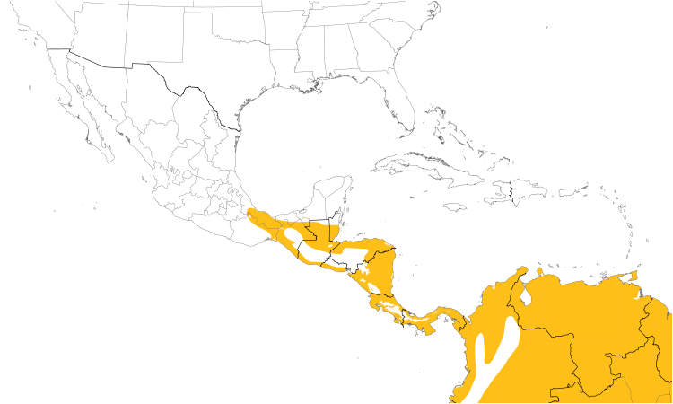 Range Map (Central): Spectacled Owl