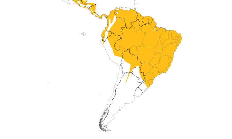 Range Map (South): Spectacled Owl