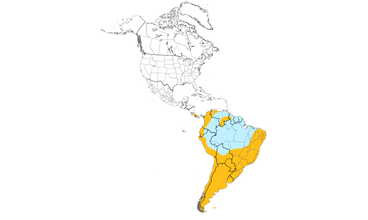 Range Map (Americas): Blue-and-white Swallow