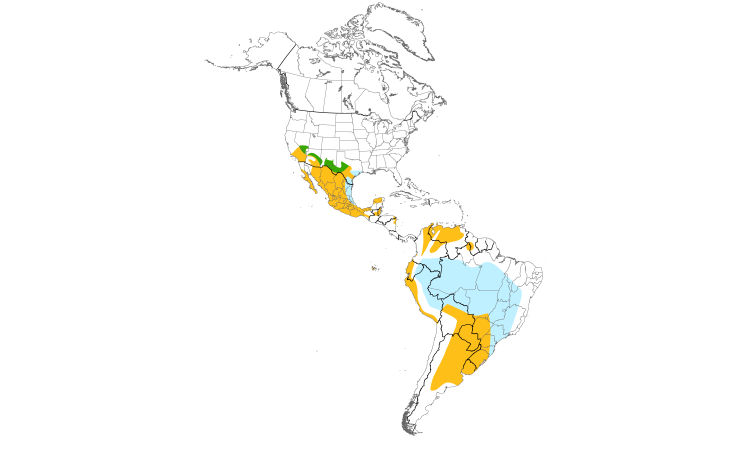 Range Map (Americas): Vermilion Flycatcher
