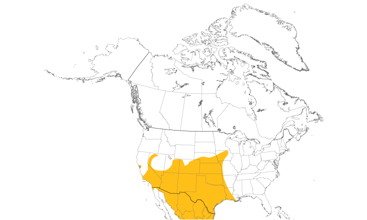 Range Map (North): Great-tailed Grackle
