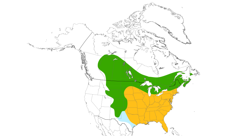 Range Map (North): Common Grackle