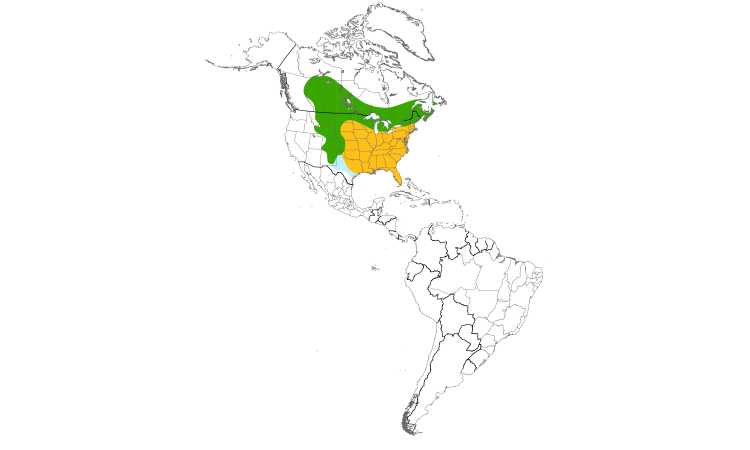 Range Map (Americas): Common Grackle