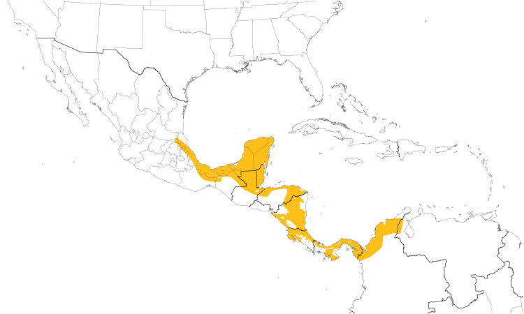 Range Map (Central): Keel-billed Toucan