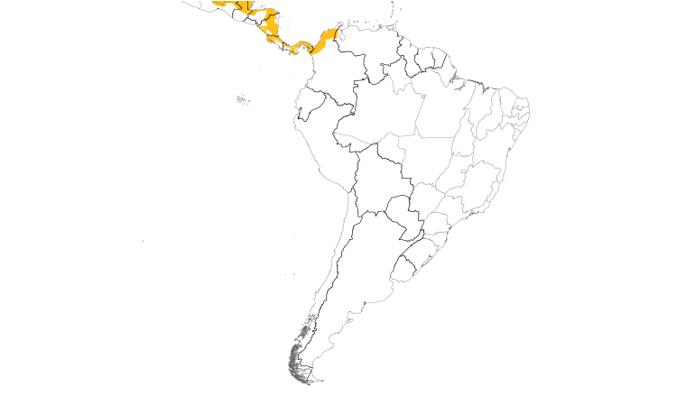 Range Map (South): Keel-billed Toucan