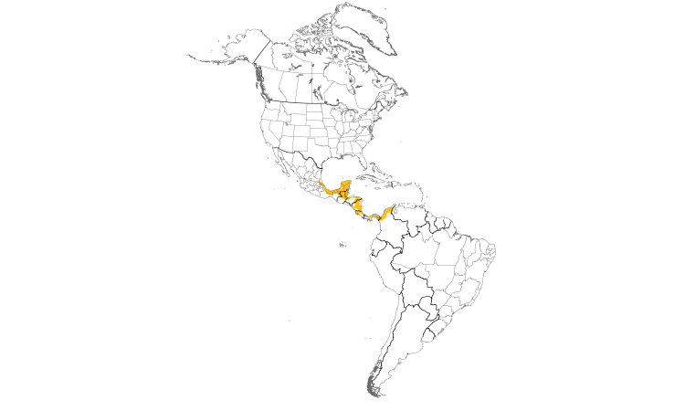 Range Map (Americas): Keel-billed Toucan
