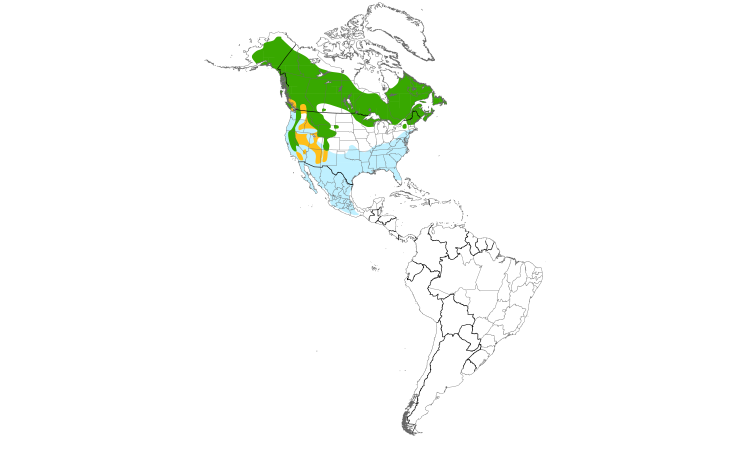 Carte de répartition  (Americas): Roitelet à couronne rubis