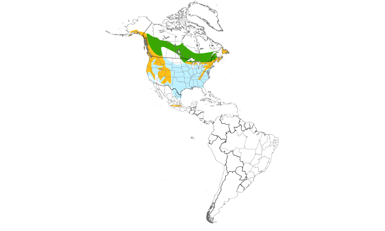 Range Map (Americas): Golden-crowned Kinglet