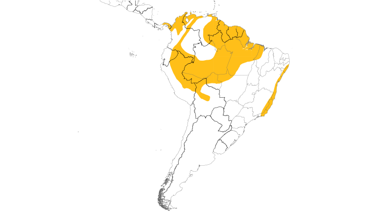 Range Map (South): Olivaceous Flatbill
