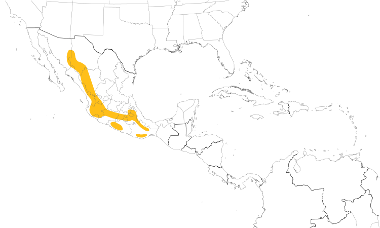 Range Map (Central): Aztec Thrush