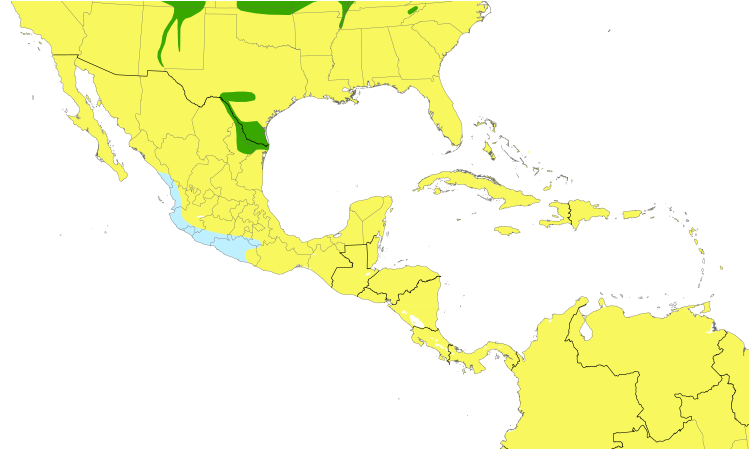 Range Map (Central): Bank Swallow